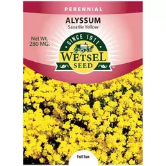 ALYSSUM, SAXATILE YELLO 280 MG