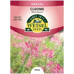 CLEOME, ROSE QUEEN SPIDER PLANT 280 MG