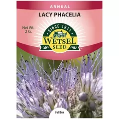 LACY PHACELIA - 2 GRAM