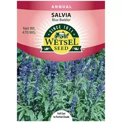 SALVIA, BLUE BEDDER 470 MG
