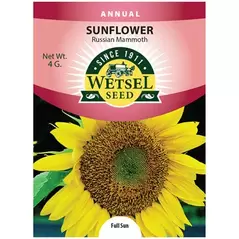 SUNFLOWER, RUSSIAN MAMM 4 G.