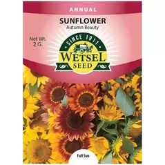 Sunflower, Autumn Beauty - 2 Gram