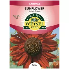Sunflower, Velvet Queen - 2 Gram