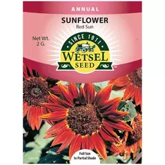 SUNFLOWER, RED SUN
