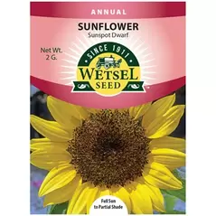 Sunflower, Sunspot Dwarf - 2 Gram