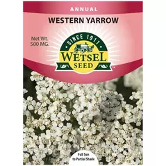 WESTERN YARROW - 500 MG