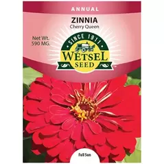 Zinnia, Cherry Queen 590 mg