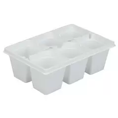 DLN T306BP (ACH) TRUE 6 CELL BSKT PACK WHT 300/CS