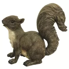 MCarr Frisky Squirrel