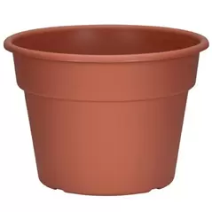 DLN 10.00 COLOR POT 1 CL 58/CS 32CS/PL