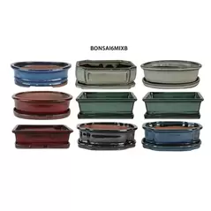 MCarr 18PC 6" Bonsai Planter Mixed Asst