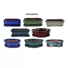 MCarr 8PC 8" Bonsai Planter Mixed Asst