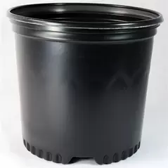 NS PF400CU, TRADE SIZE TRUE 1 GALLON, 1 GALLON, BLACK 85/BD 64/TOWER (7-1/2"X7-1/8"), 1Gallon