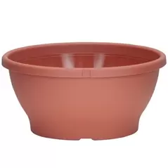 DLN 10.00 COLOR BOWL CL 82/CS 34CS/PL