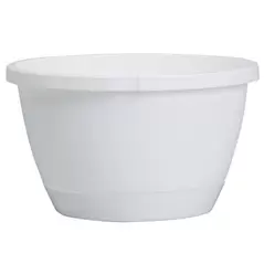 DLN 10.00 TRAD 2 WS HB NO HGR WHT 50/CS 36CS/PL