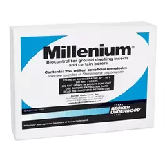 BASF Millenium 250 Mil Pack (Min 5 Packs Direct) ( Flea Larvae, Cutworms, Banana Moth, Weevils ) Steinernema carpocapsae