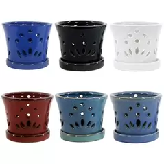 MCarr 12PC 5.1" Round Orchid Mixed Asst