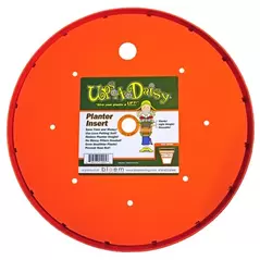Bloem 15" Ups A Daisy 6/CS