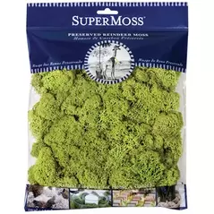 SuperMoss 120cu Bag Preserved Reindeer Moss Chartreuse