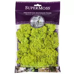 SuperMoss 2oz Reindeer Moss Chartreuse