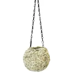 SuperMoss 6" Kokedama Blond Sphagnum Ball Planter