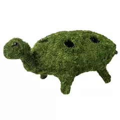 SuperMoss Turtle Planter