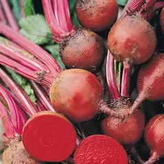 Beets, Detroit Dark Red - 1/2oz