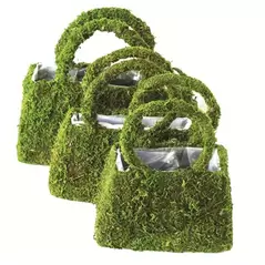 SuperMoss 3PC Set Deco Beaumont Purse Basket