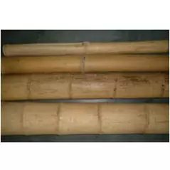 Bamboo Supply 10' x 5" Bamboo Pole Natural 3/BD