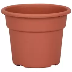 DLN 06.00 COLOR POT TL CL 98/CS SEASONAL 66CS/PL