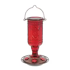 Classic 20oz Red Jewel Glass Hummingbird Feeder 5 Ports