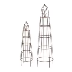 Deer Park Arch Top Topiary Set Of 2 Sizes