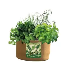 Panacea 5Gal Grow Bag Herbs