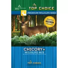 Top Choice Chicory Plus 4