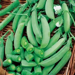 Peas, Sugar Snap - 1/2lb