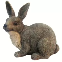 MCarr Brother Rabbit
