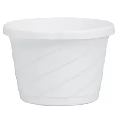 DLN 06.00 EURO SL HB NO HGR WHT 100/CS 60CS/PL