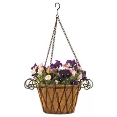 Deer Park French Hanging Basket With Coco Liner