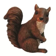 MCarr Squirrel
