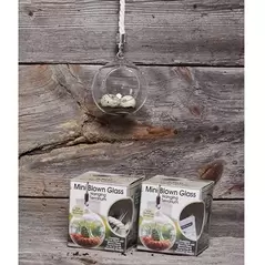 Primitive Boxed Mini Hanging Terrarium