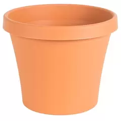Bloem 10" TerraPot Terra Cotta