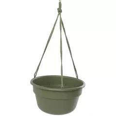 Bloem 12" Dura Cotta Hanging Basket Living Green