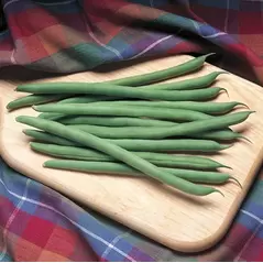 Beans, Kentucky Blue Pole - 1/2lb