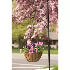 Panacea 16" Hanging Basket GR Growers