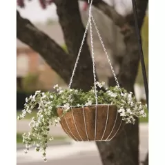 Pancea 14" Hanging Basket White Growers