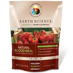 Earth Science 4