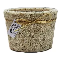 Exotic Pebbles Pots Alabaster 6" Cache