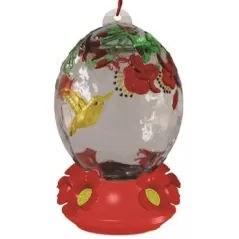 Friends of Flight 26.5oz Hand Painted Glass Hummingbird Feeder Red Base