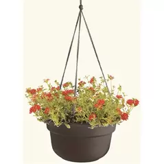 Bloem 12" Dura Cotta Hanging Basket Black
