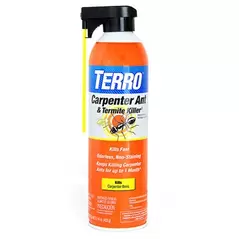 Terro Carpenter Ant & Termite Killer Aerosol